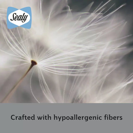 Sealy Deeply Full Mattress topper