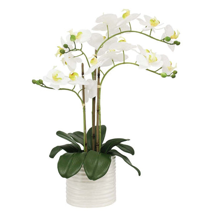Artificial Orchid in Ribbed Ceramic Pot – view 3