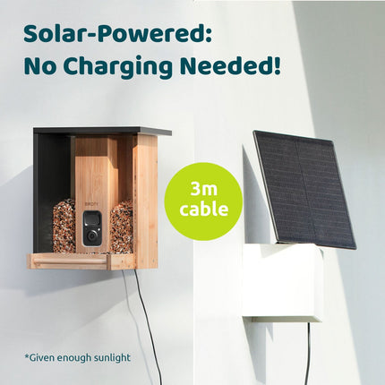 Birdfy Bamboo Bird Feeder with Camera & Solar Panel – view 4