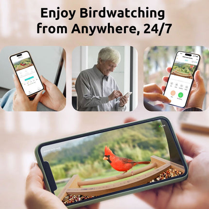 Birdfy Bamboo Bird Feeder with Camera & Solar Panel – view 7
