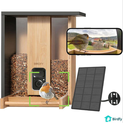 Birdfy Bamboo Bird Feeder with Camera & Solar Panel