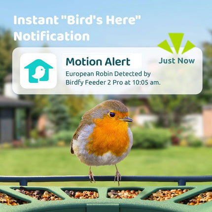 Birdfy Feeder 2 Pro Dual-Lens Smart Bird Feeder with Solar Panel – view 4