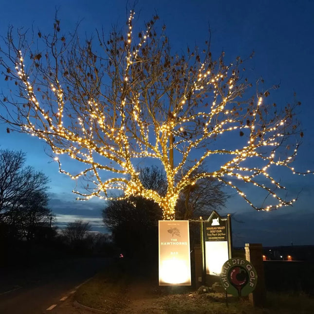 Lights4You 66ft (20m) 120 LED Warm White Outdoor String Lights