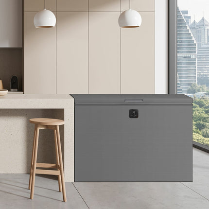 Hisense FT280WN3SGD, 277L Chest Freezer, D Rated in Silver – view 6