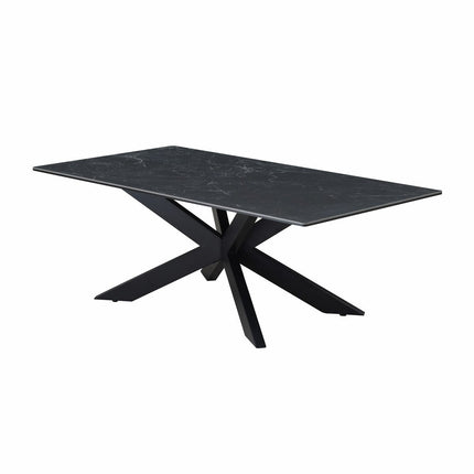Indus Valley Arden Black Ceramic Coffee Table – view 5